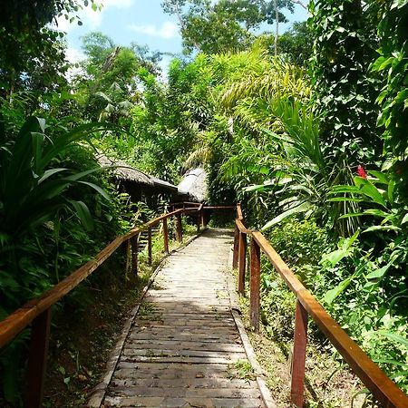 Wasai Puerto Maldonado Hostel Exterior photo